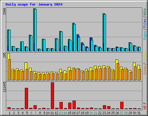 Daily usage for January 2024