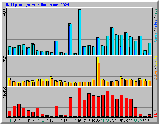 Daily usage for December 2024