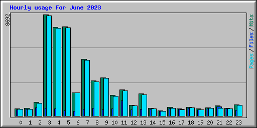 Hourly usage for June 2023