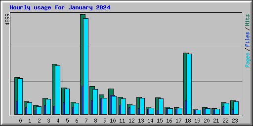 Hourly usage for January 2024