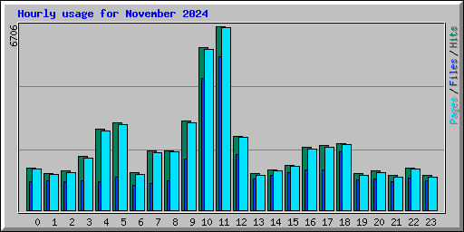 Hourly usage for November 2024