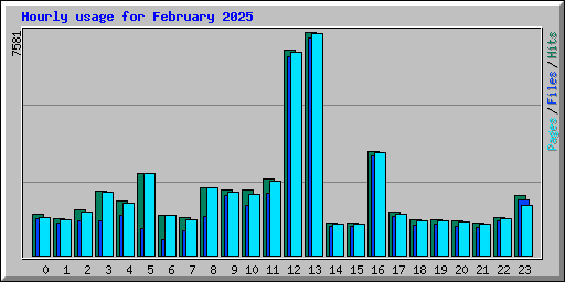 Hourly usage for February 2025