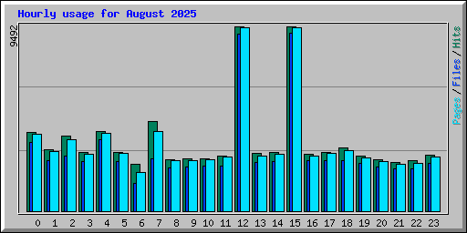 Hourly usage for August 2025