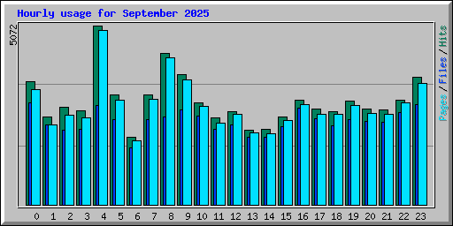Hourly usage for September 2025